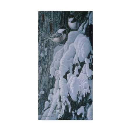 Ron Parker 'Chickadees In Snow' Canvas Art,24x47